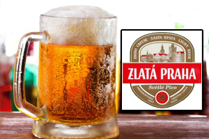 Bere la Halba Zlata Praha 0,5